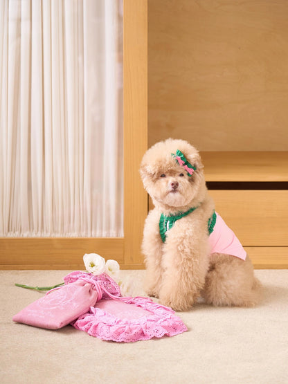 即納 DD Ice Pouch 全4色