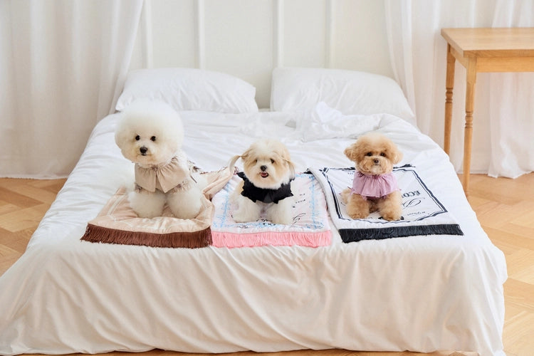 Maison Fringe Blanket 全3色
