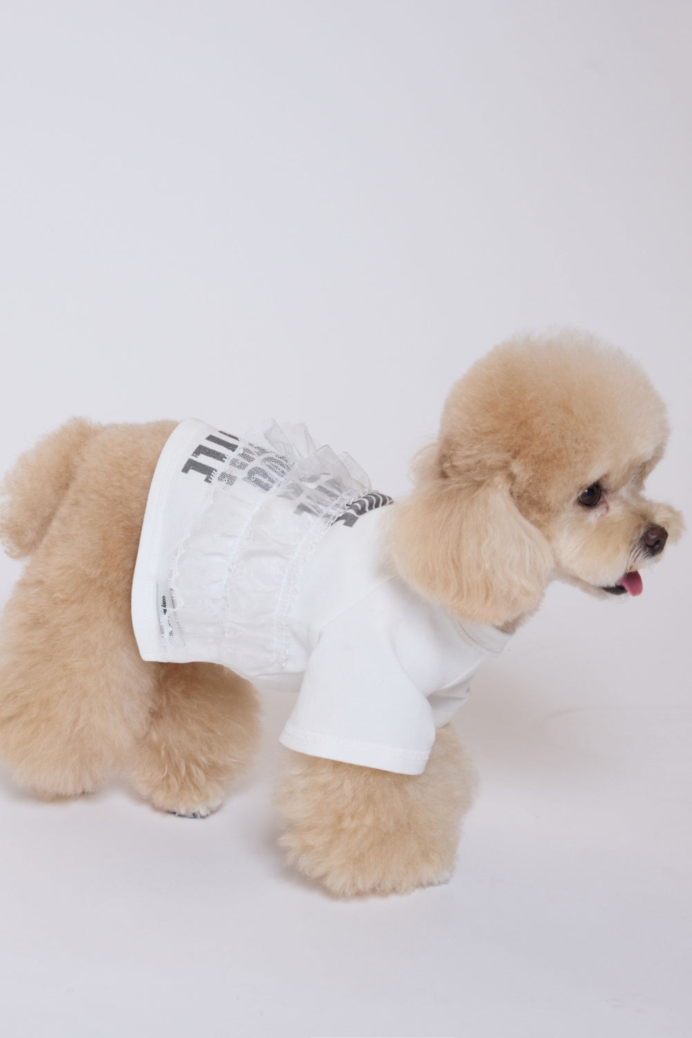 Pure Dog Lace Top ホワイト