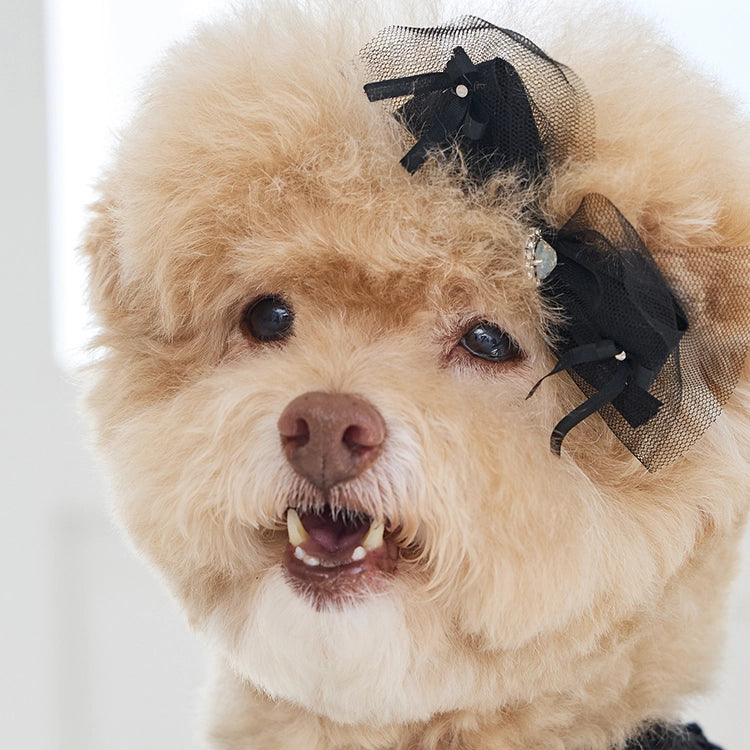 Sweetie Bebe Hairpin 全3色
