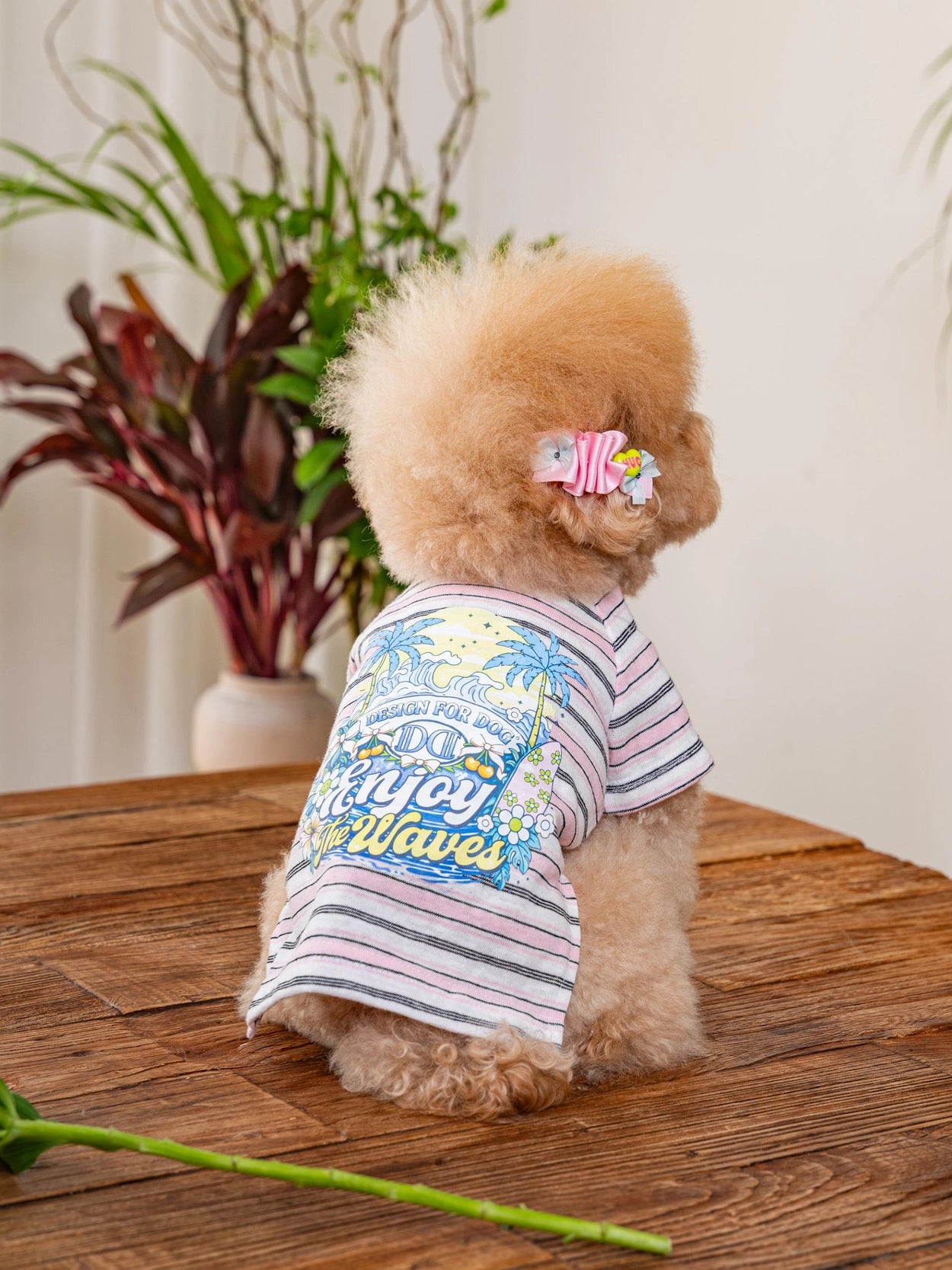 即納 Enjoy Wave T-Shirt 全3色