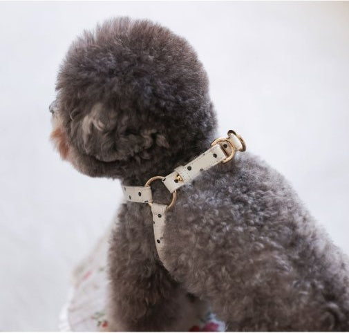 Bloom Leash ポルカドット ホワイト
