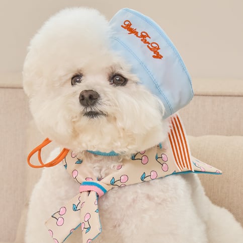 即納 Marine Cap 全3色