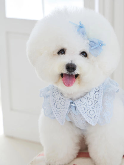 Sweetie Bebe Dress 全3色