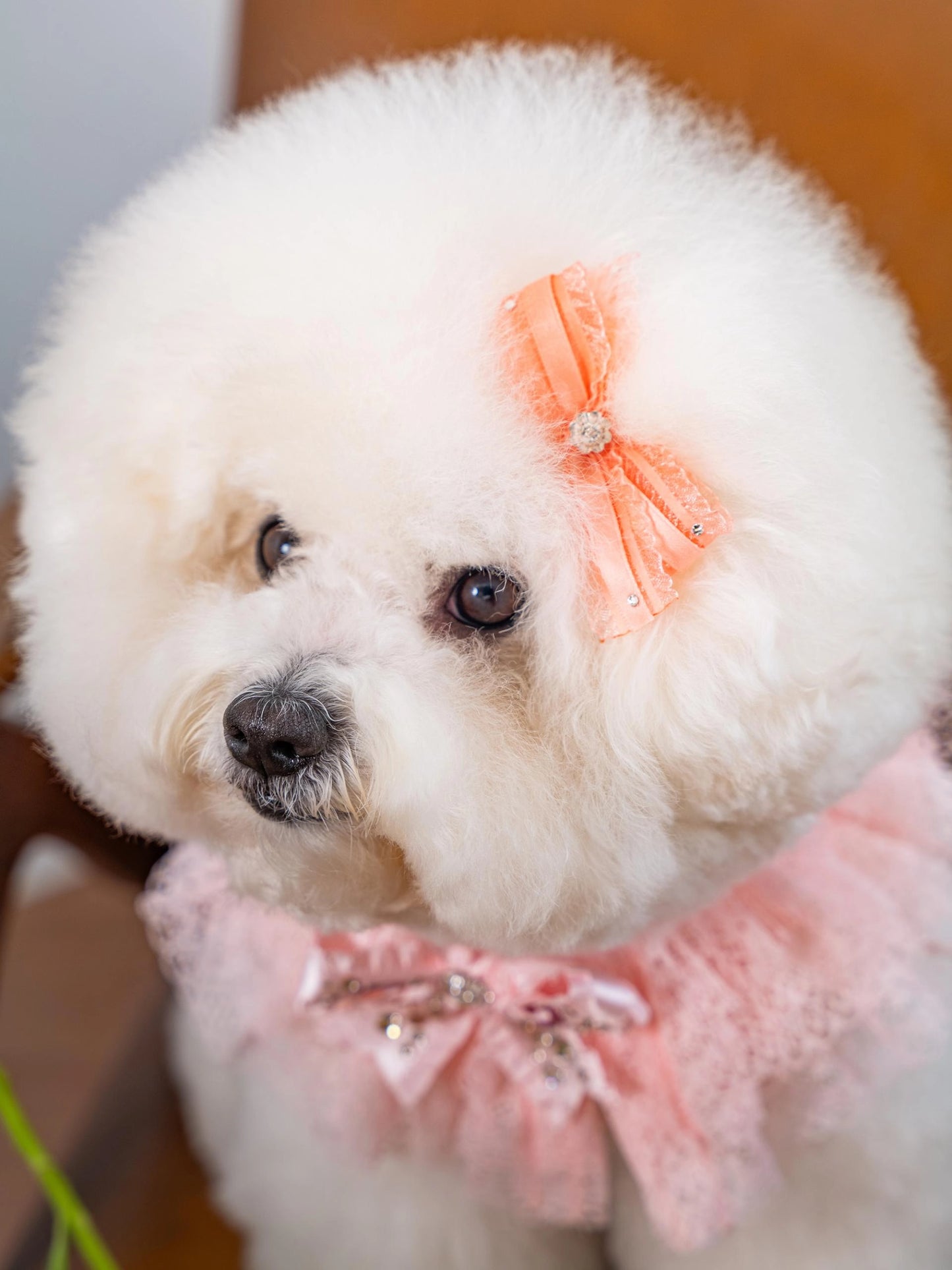 即納 My Little Hairpin 全3色