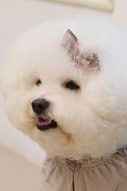 Plié Belle Hairpin 全3色