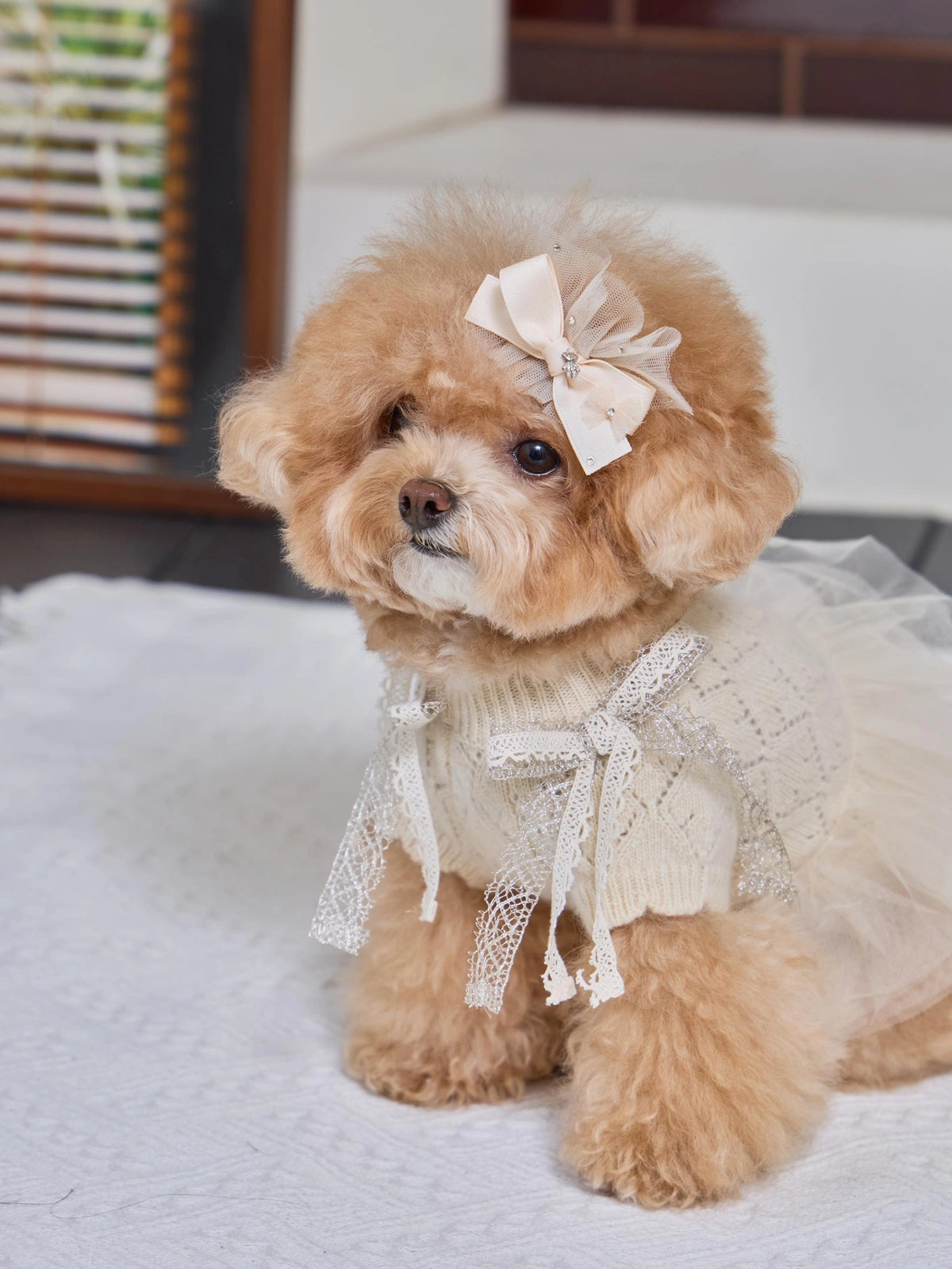 Patissier Tutu Dress 全3色