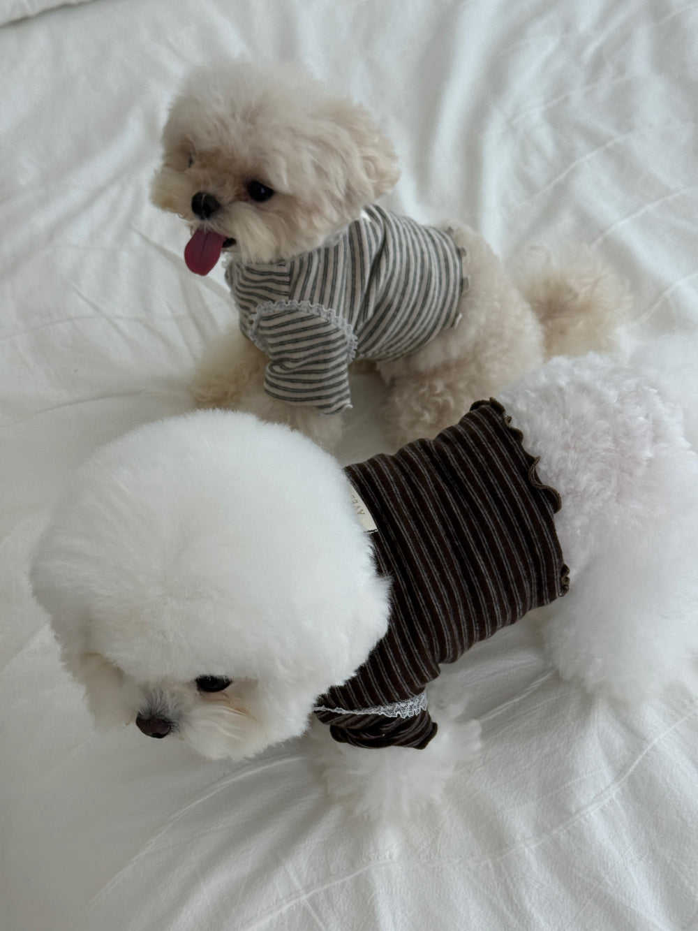 【PRE-ORDER】Wool Stripe Top 全2色