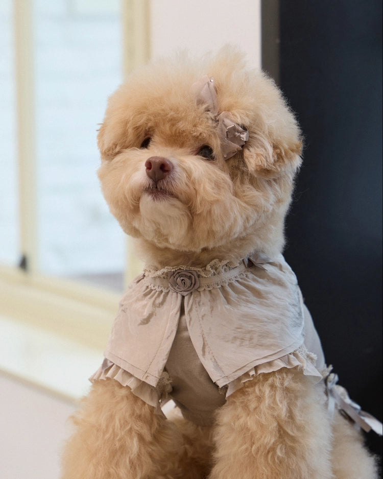 Plié Belle Blouse 全3色