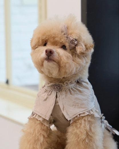 Plié Belle Blouse 全3色