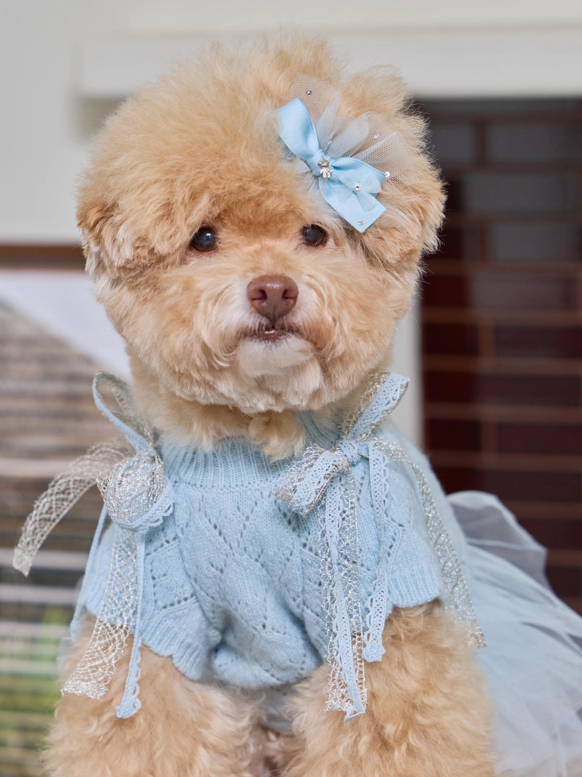 Patissier Tutu Dress 全3色
