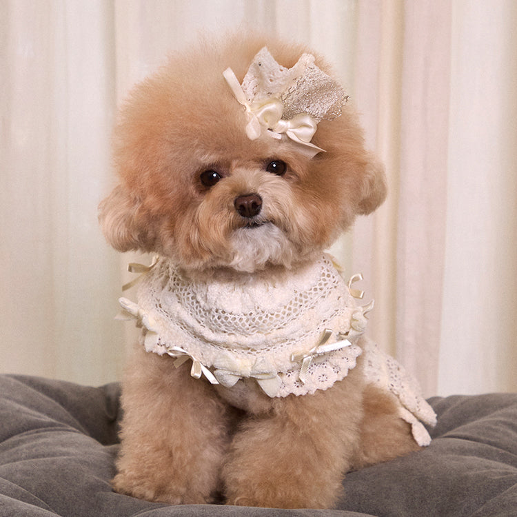 Lace Garden Dress 全3色