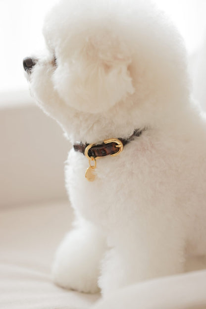 予約 Leopard Patent Collar【迷子札】