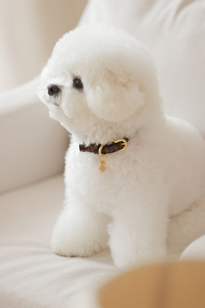予約 Leopard Patent Collar【迷子札】