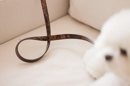 予約 Leopard Patent Collar【迷子札】