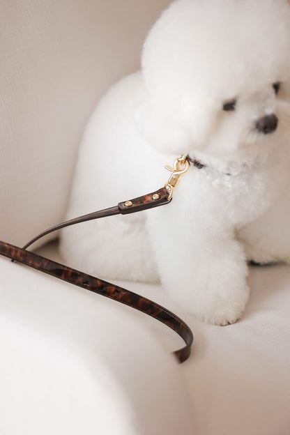 予約 Leopard Patent Leash