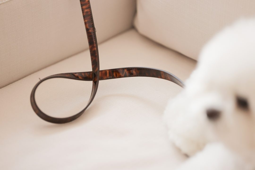 予約 Leopard Patent Leash