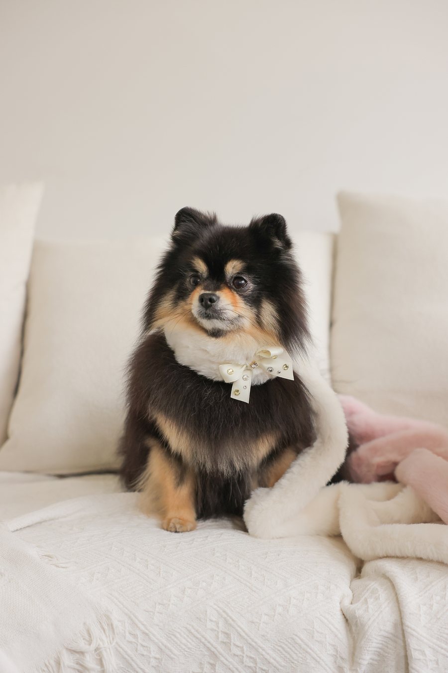 【PRE-ORDER】Eco Fur Pompom アイボリー