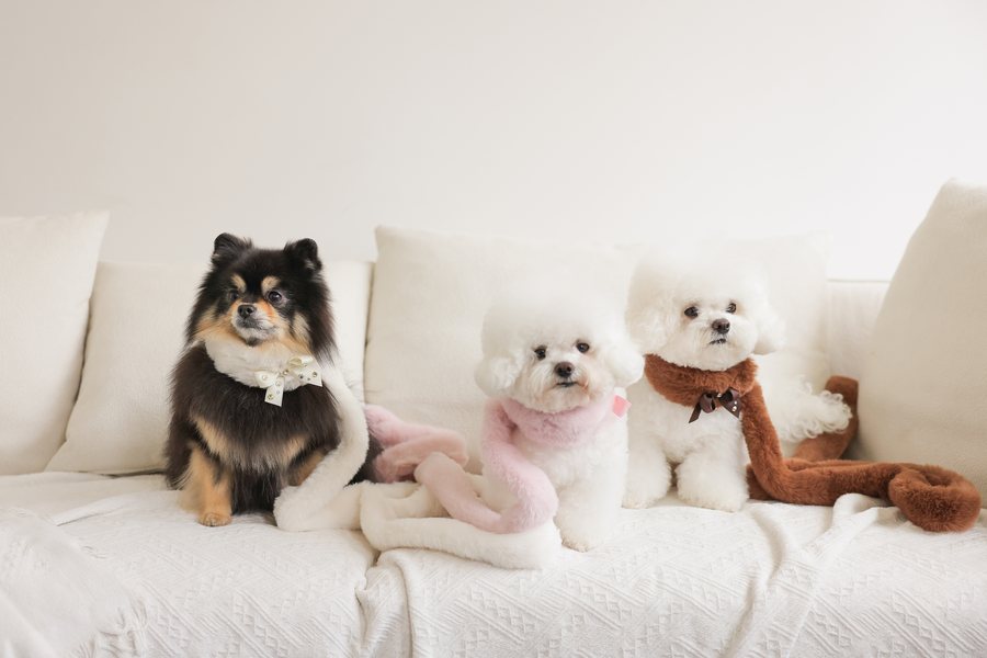 【PRE-ORDER】Eco Fur Pompom アイボリー