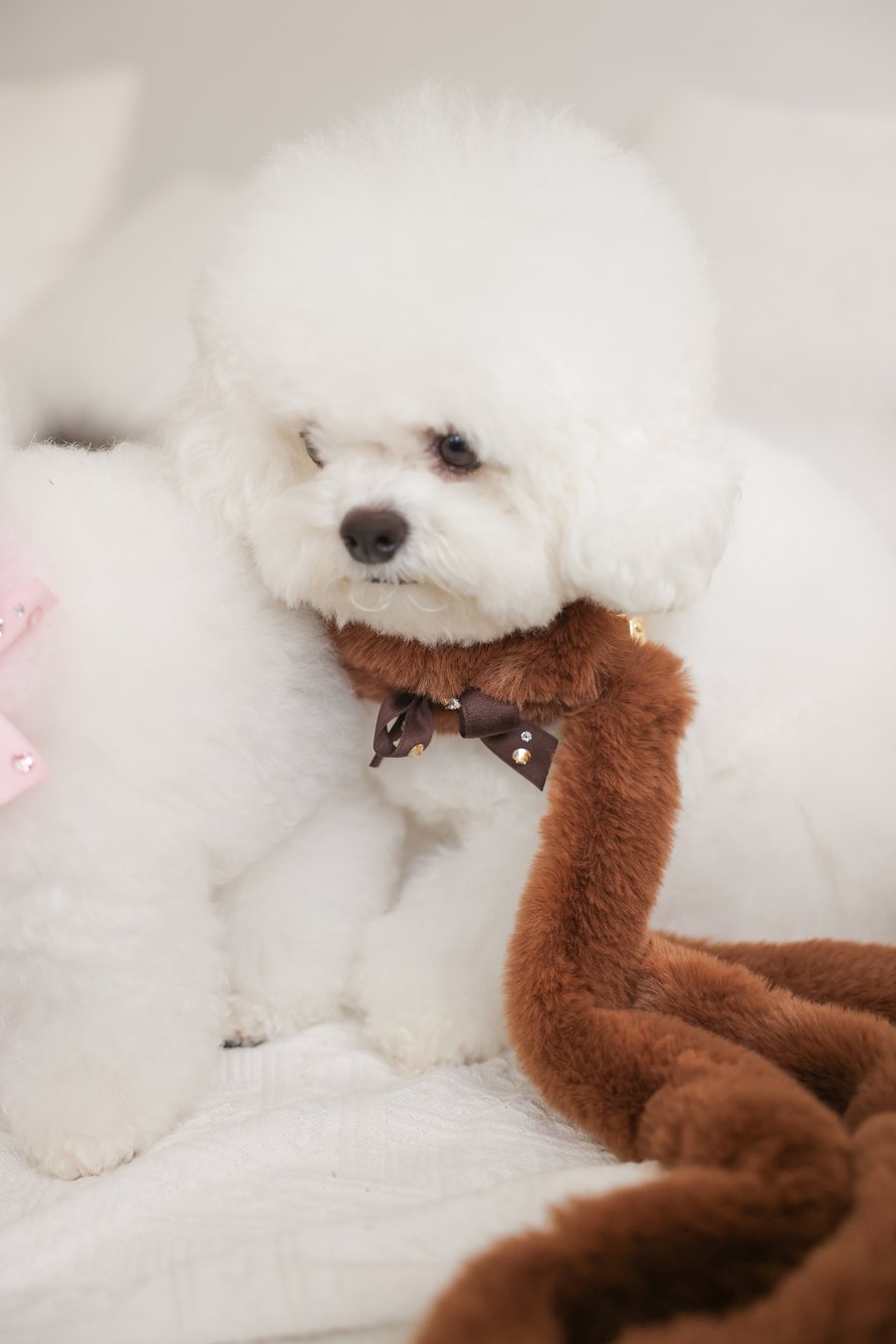 【PRE-ORDER】Eco Fur Leash ココア