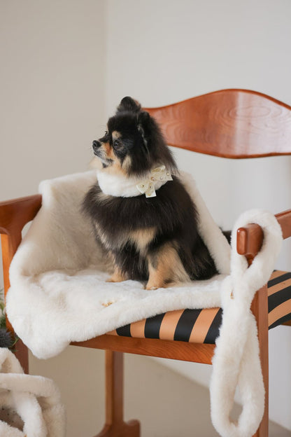 【PRE-ORDER】Eco Fur Leash アイボリー
