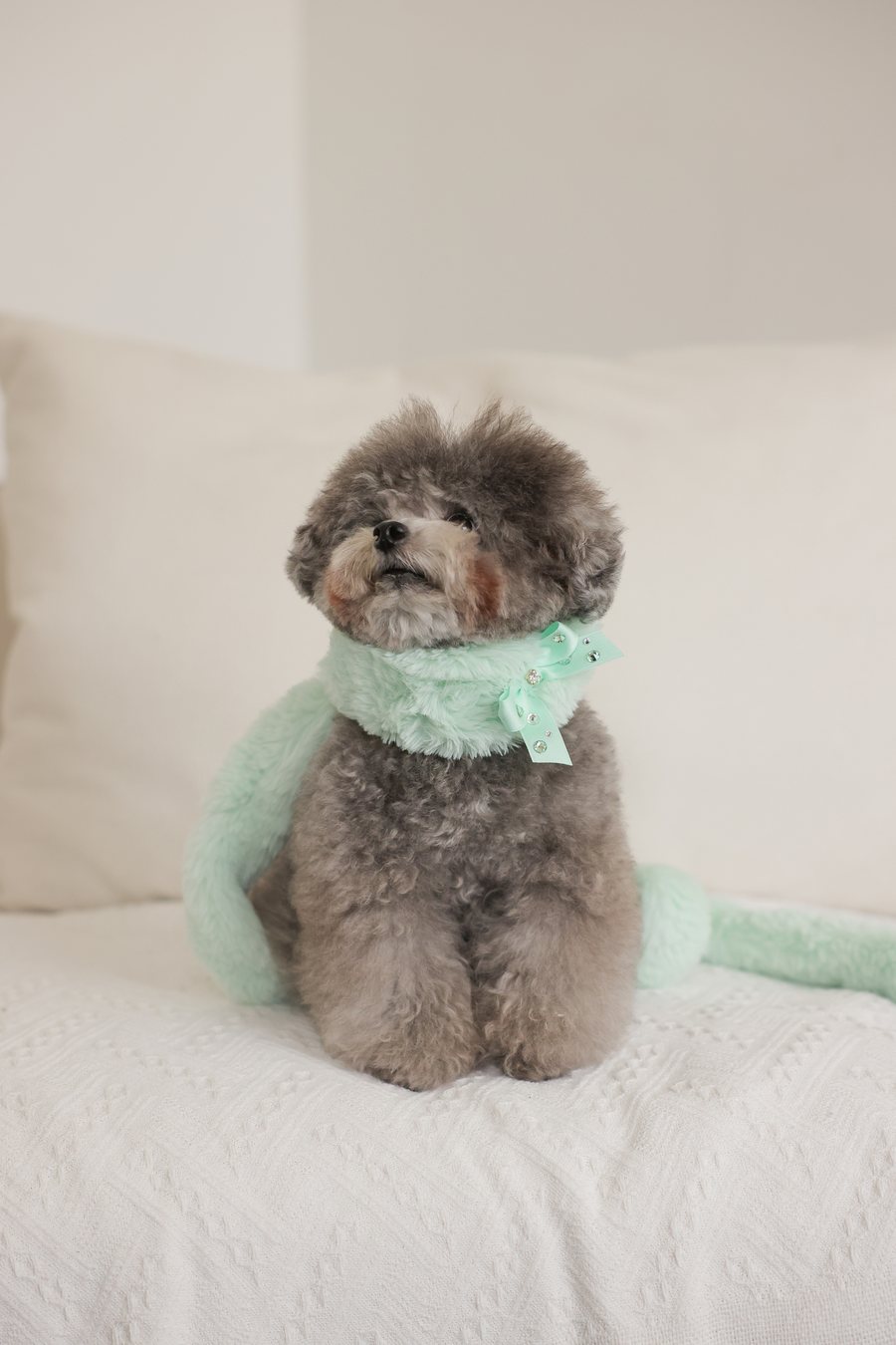 【PRE-ORDER】Eco Fur Leash ミント