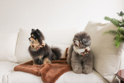 【PRE-ORDER】Eco Fur Angel Blanket ココア