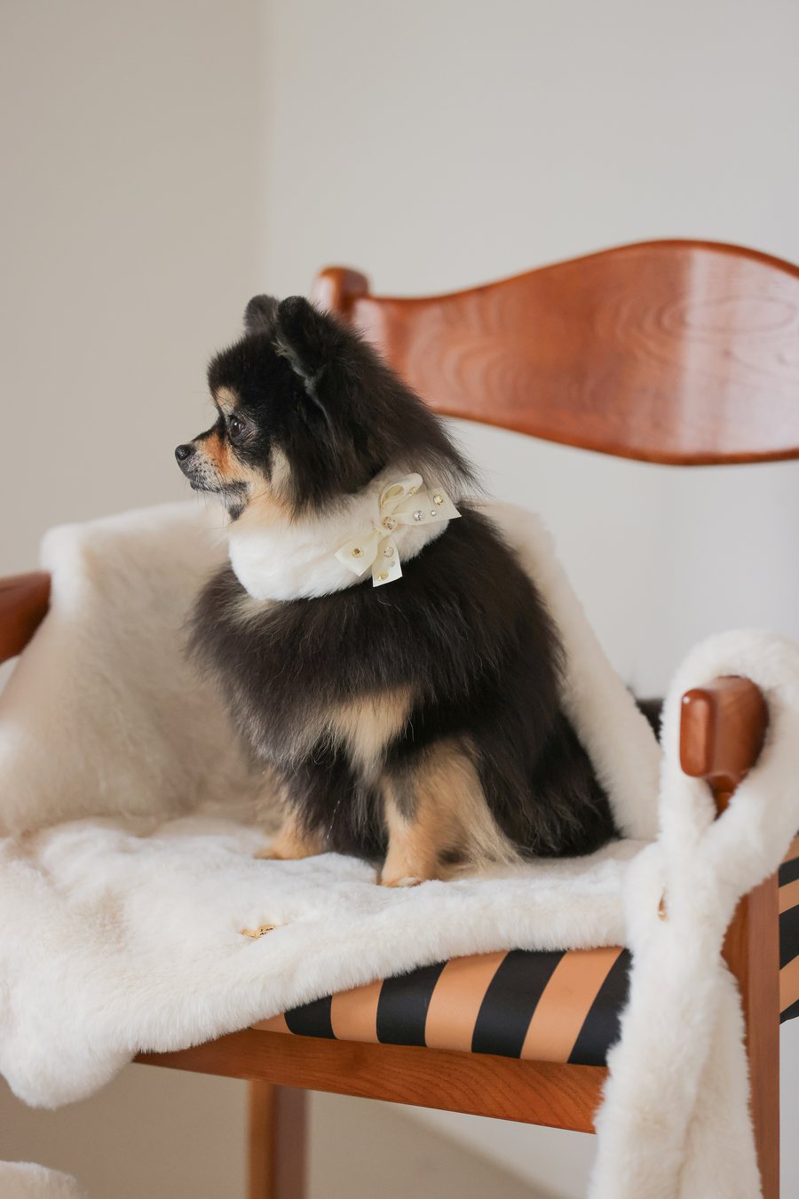 【PRE-ORDER】Eco Fur Angel Blanket アイボリー