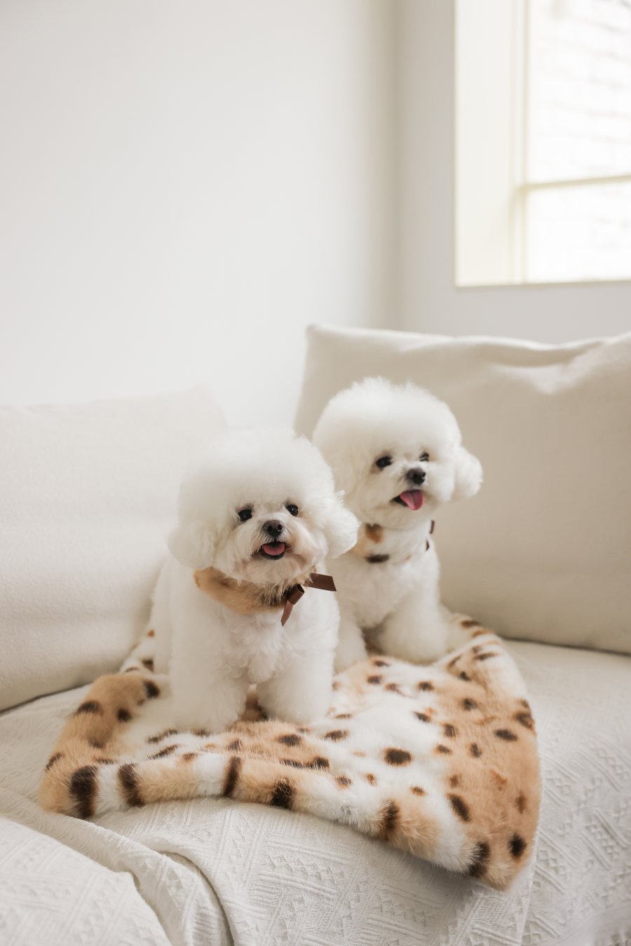 【PRE-ORDER】Eco Fur Angel Blanket レオパード