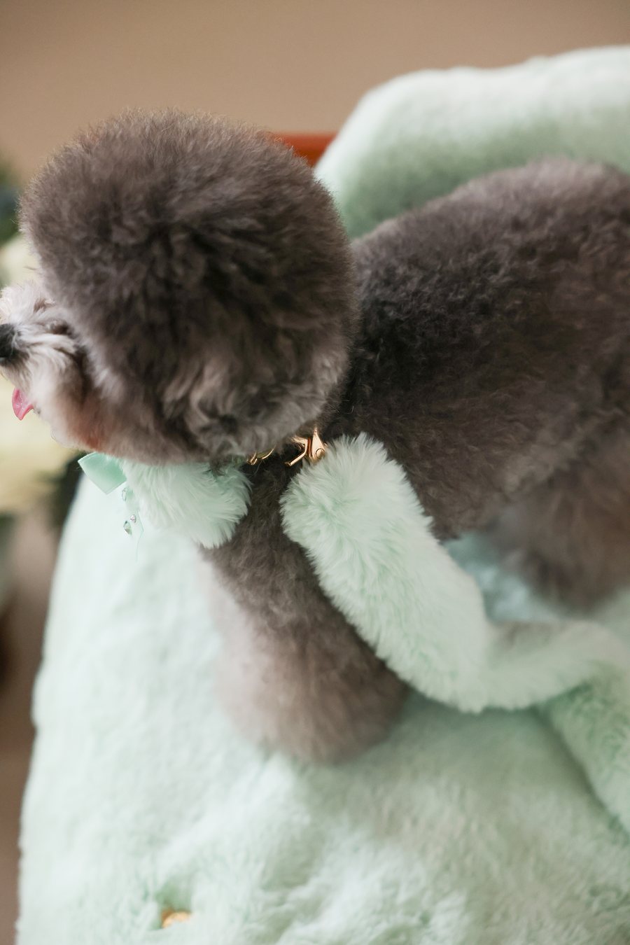 【PRE-ORDER】Eco Fur Angel Blanket ミント