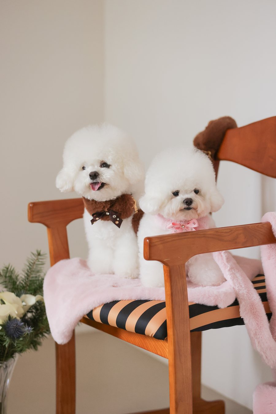 【PRE-ORDER】Eco Fur Angel Blanket ピンク