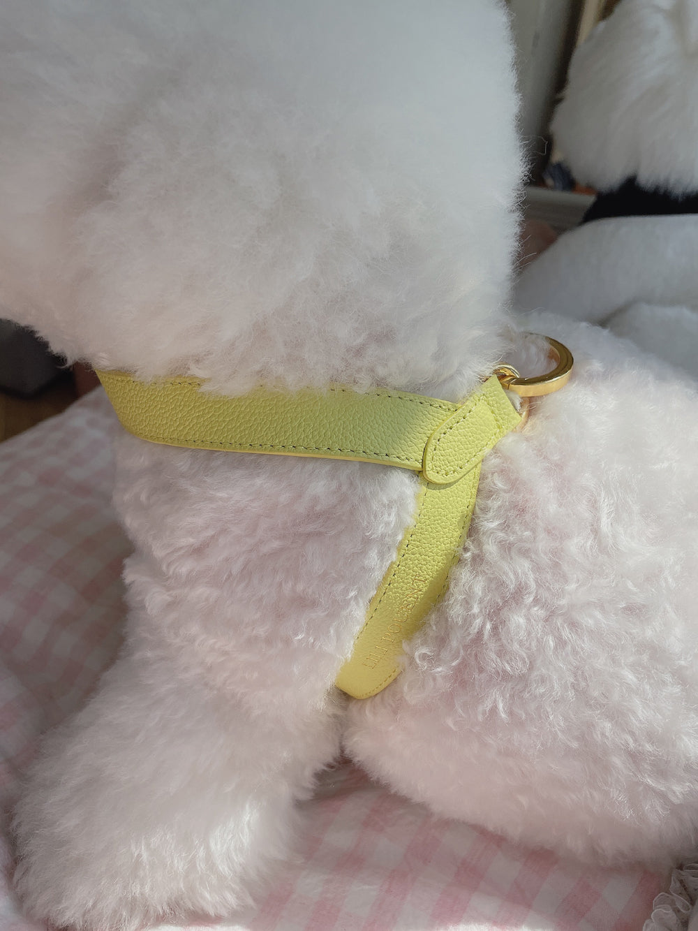 VV Harness 2tone レモン×メロン