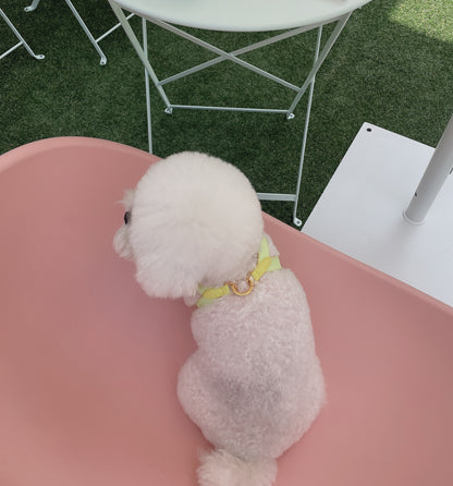 VV Harness 2tone レモン×メロン