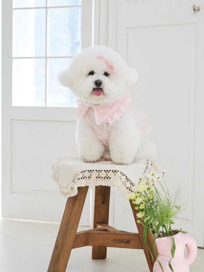 Sweetie Bebe Hairpin 全3色