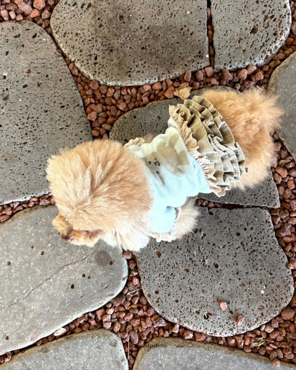 即納 Bear Friend Highneck Top 全4色