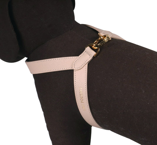 VV Harness クリームベージュ