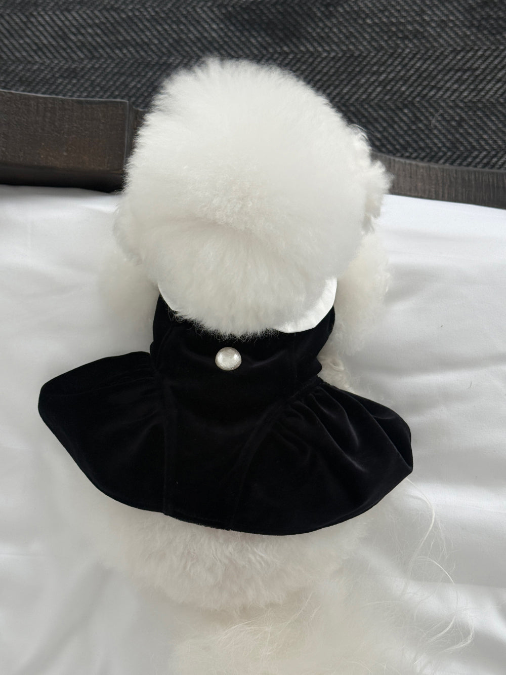 【PRE-ORDER】Black Velvet Dress