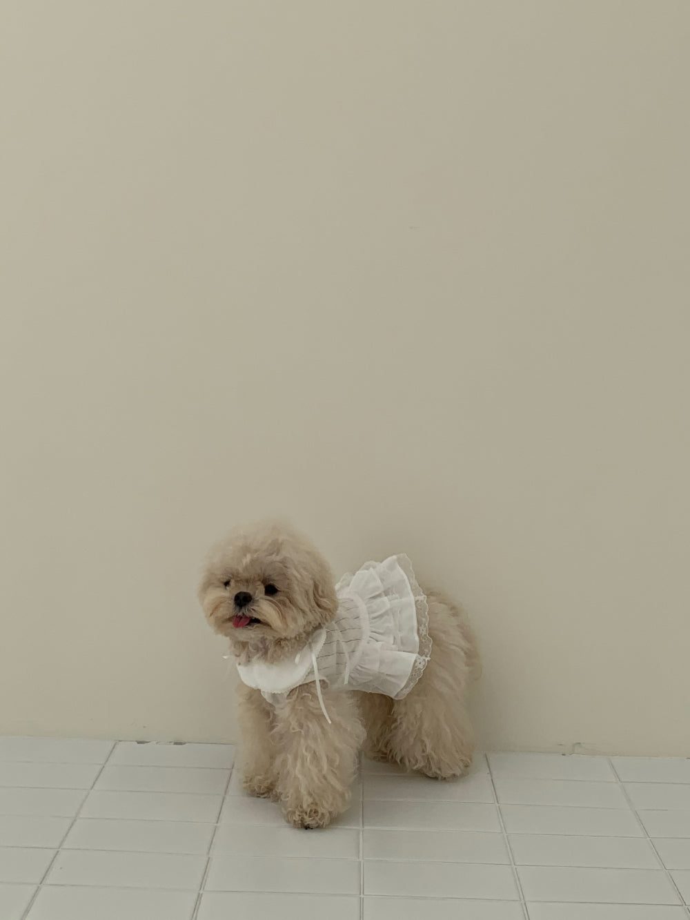 Soft Collar One-piece