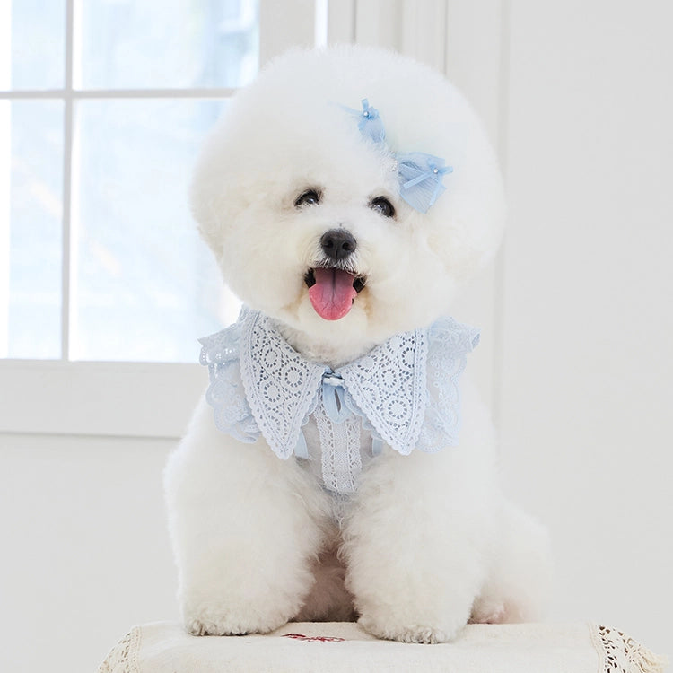Sweetie Bebe Dress 全3色