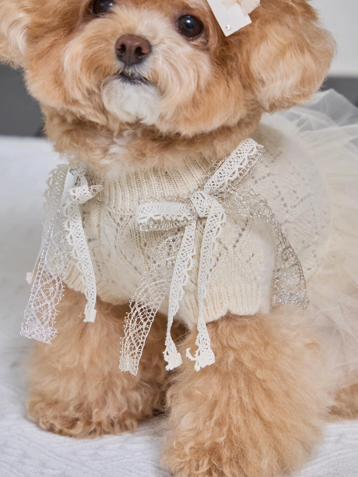 Patissier Tutu Dress 全3色