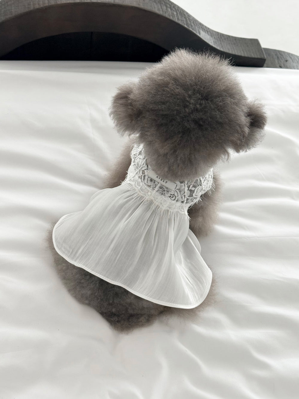 【PRE-ORDER】White Satin Glow Slip