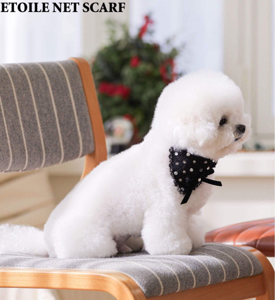 Christmas Etoile Black Scarf