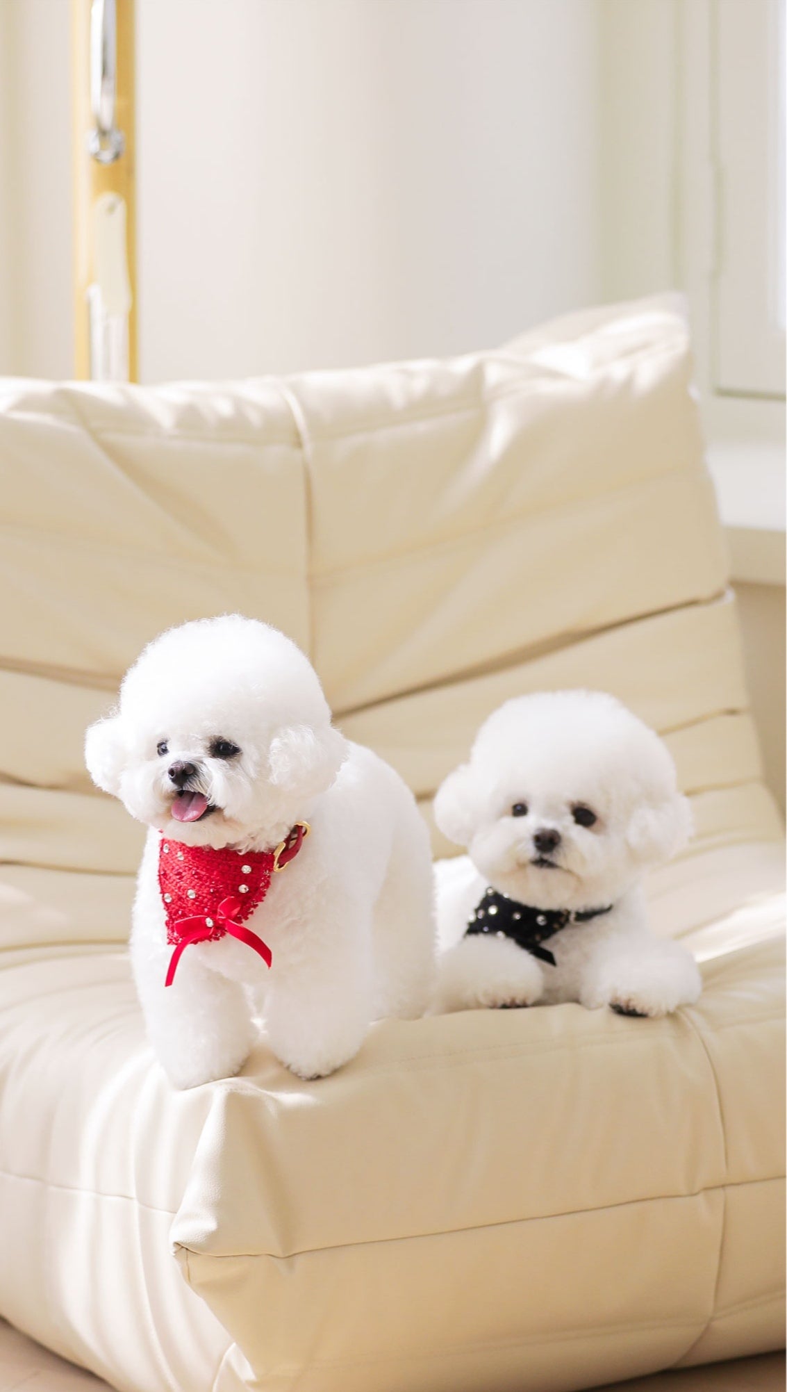 Christmas Etoile Red Scarf