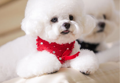 Christmas Etoile Red Scarf