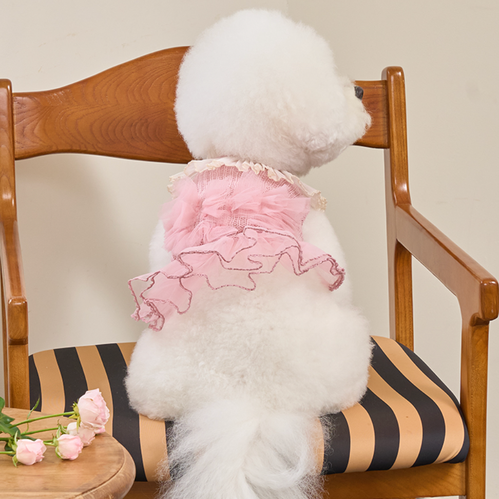 Giselle Knit Dress 全3色