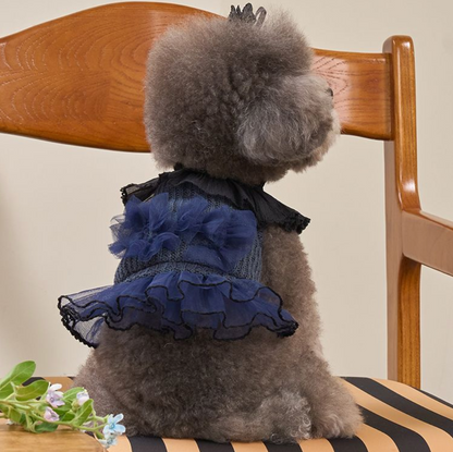 Giselle Knit Dress 全3色