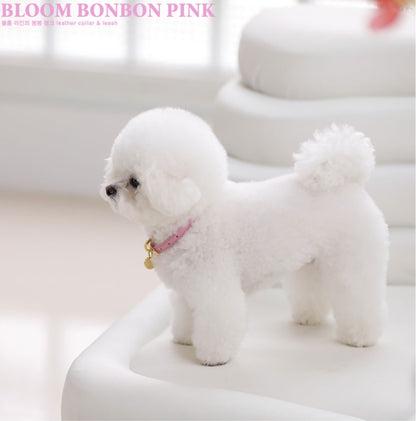 Bloom Collar【迷子札】 ボンボンピンク