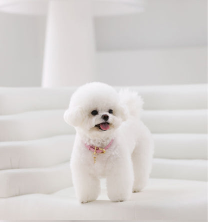 Bloom Leash - ボンボンピンク