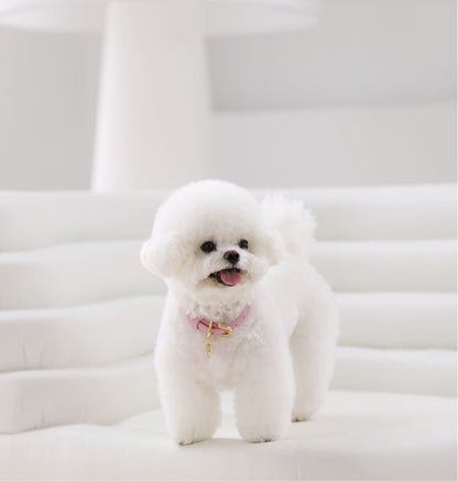 Bloom Collar【迷子札】 ボンボンピンク