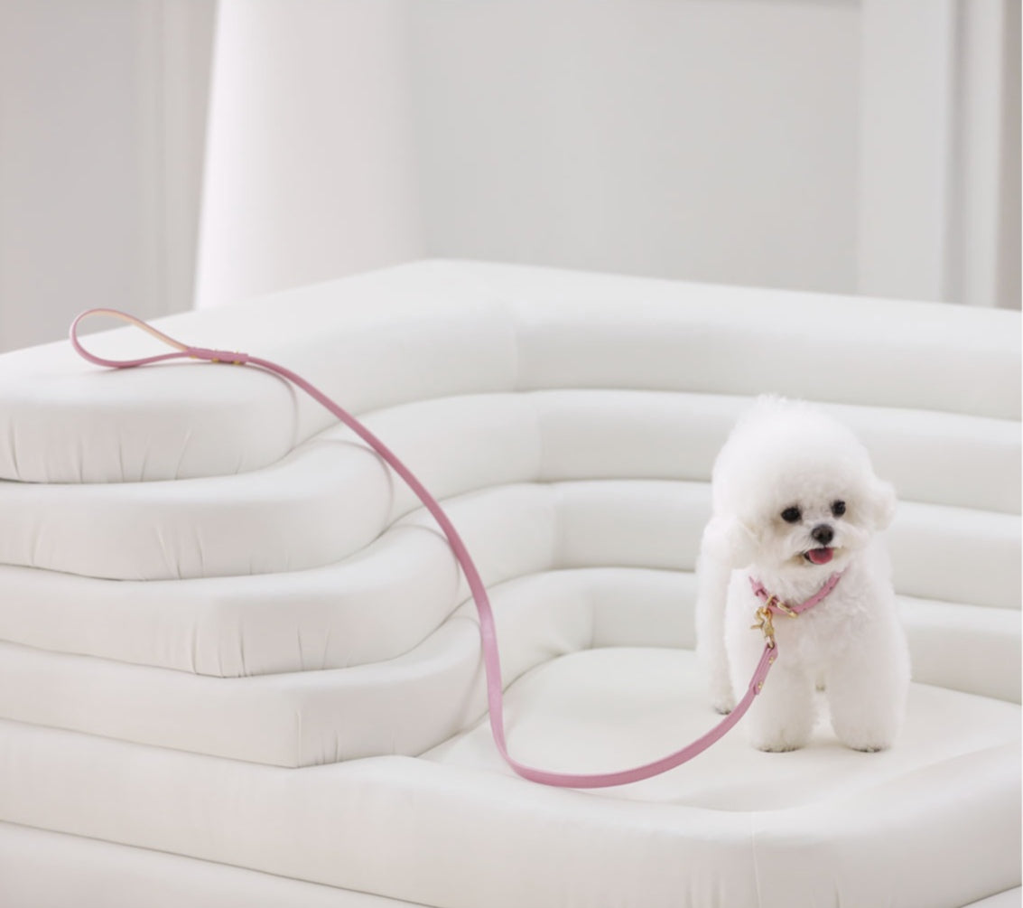 Bloom Leash - ボンボンピンク